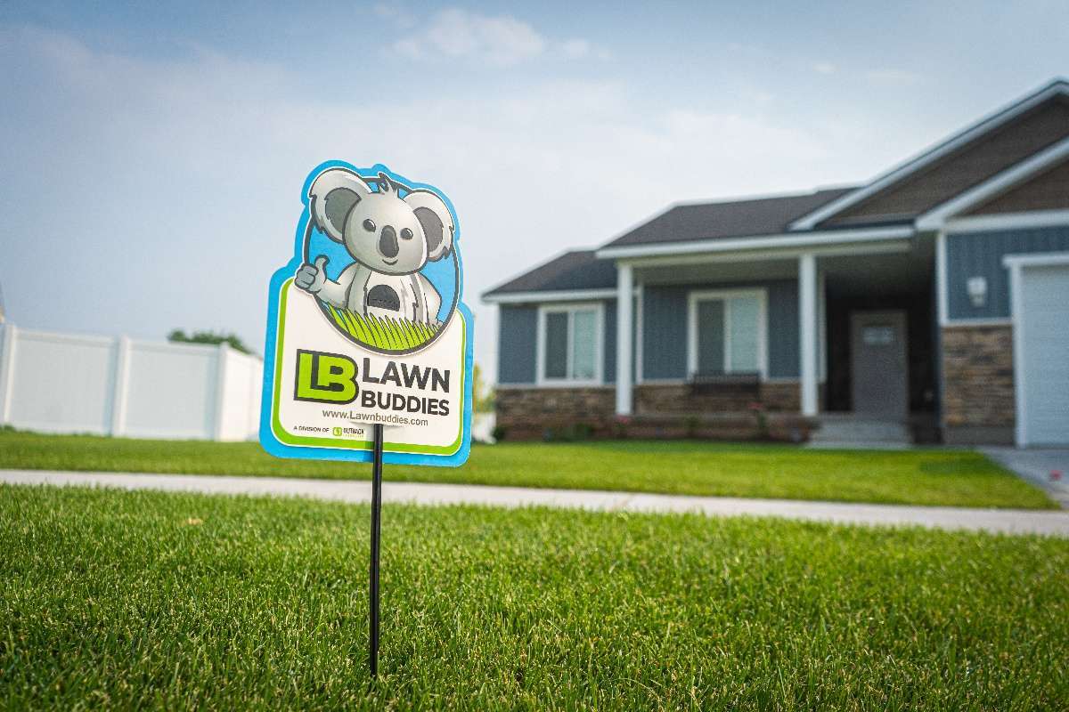 What Do Lawn Companies Use to Kill Weeds?